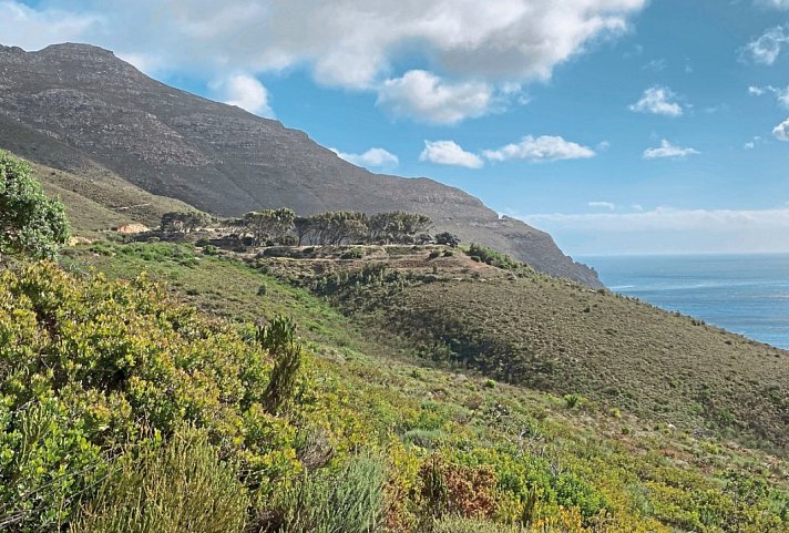 Südafrika zum Verweilen (Johannesburg-Kapstadt)