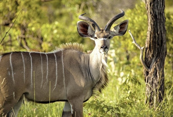 Best of South Africa von Johannesburg nach Kapstadt