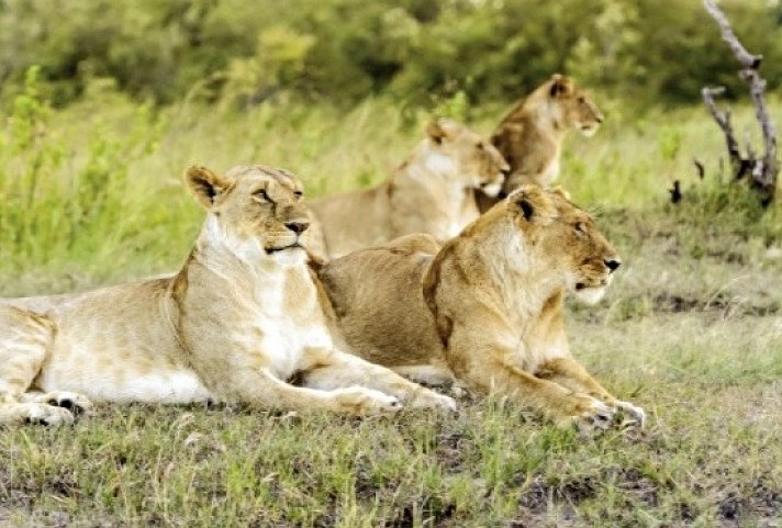 Best of South Africa (Privatreise)