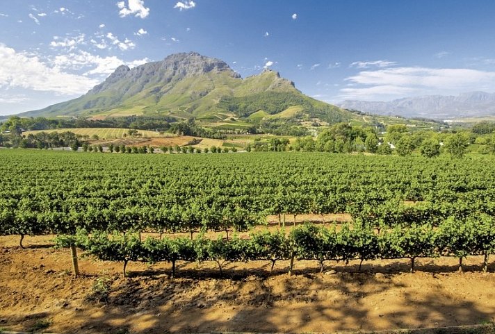 Best of South Africa (Privatreise)