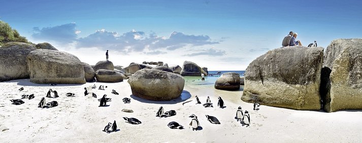 Best of South Africa (Privatreise)