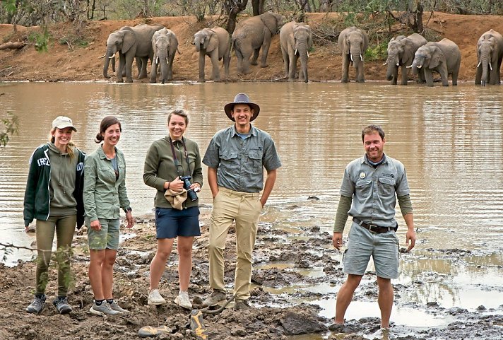 Safari Guide Experience