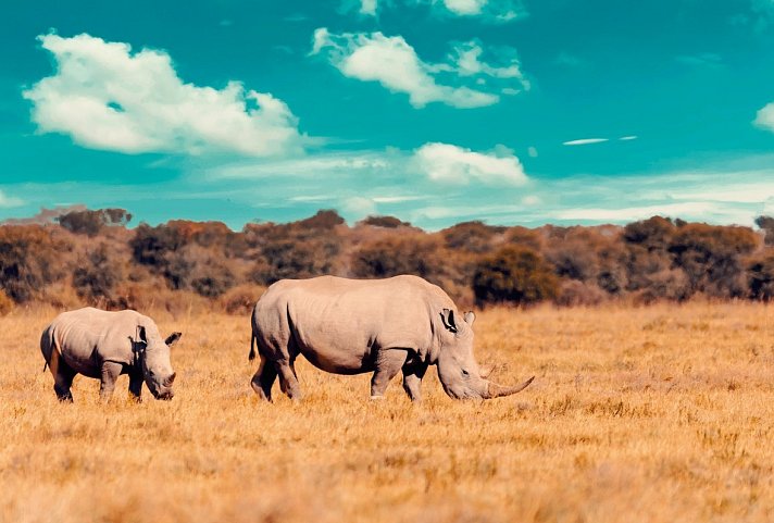 Drifters - Botswana Explorer Johannesburg - Victoria Falls