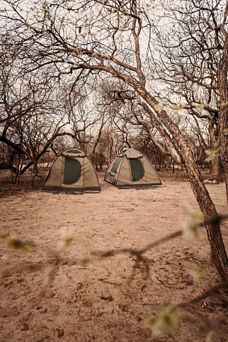 Drifters - Botswana Explorer Johannesburg - Victoria Falls