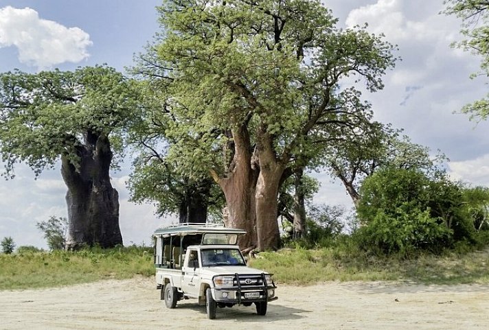 Drifters - Botswana Explorer Johannesburg - Victoria Falls