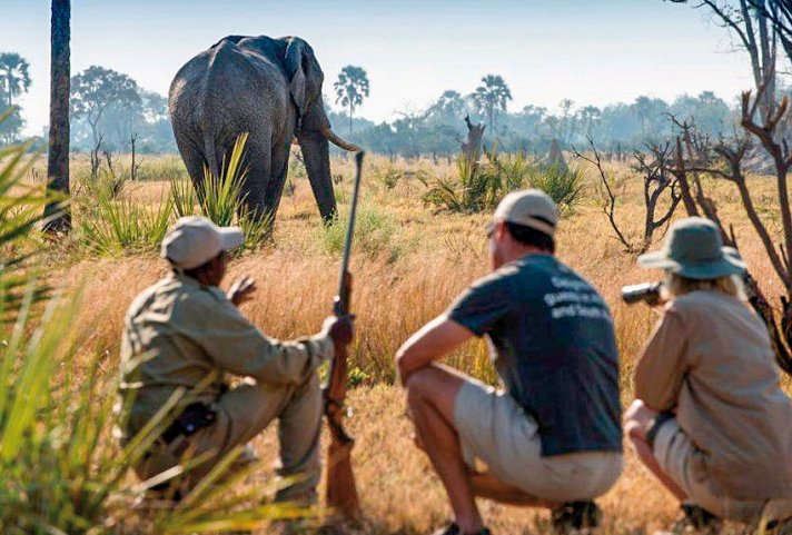 Tiererlebnis mit andBeyond Botswana