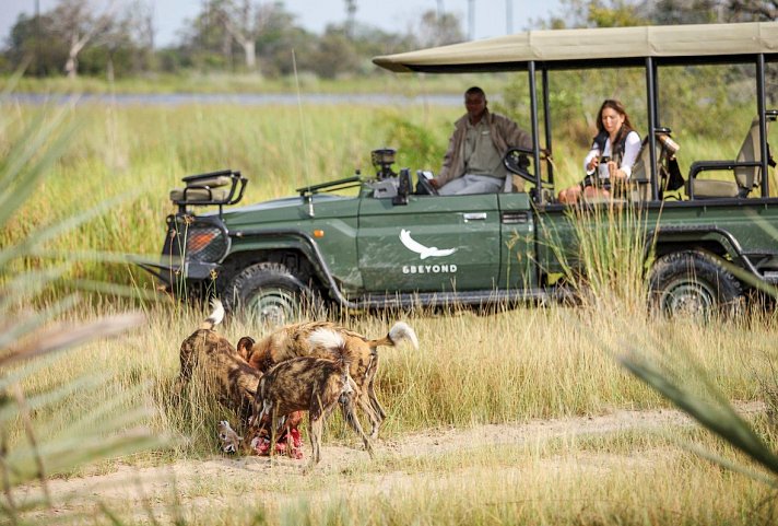 Tiererlebnis mit andBeyond Botswana