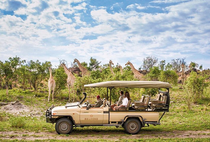 Viktoria Fälle & Tierparadies Botswana