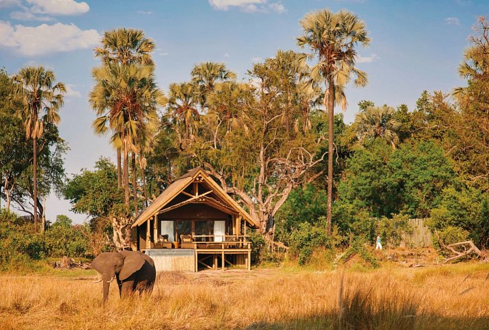 Viktoria Fälle & Tierparadies Botswana