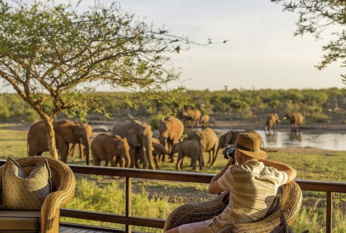 Auf Familiensafari in Südafrika mit More Hotels