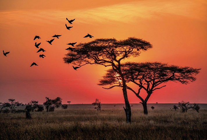 Abenteuer Tansania