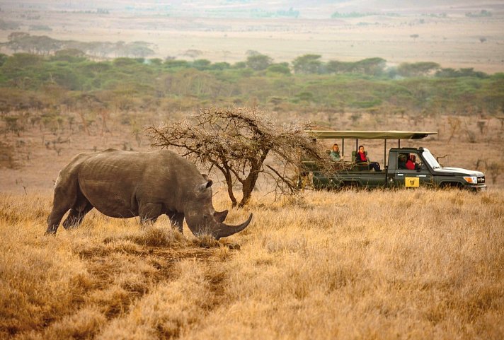 Elewana Sky Safari Tansania