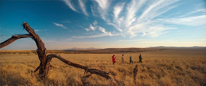 Elewana Sky Safari Tansania