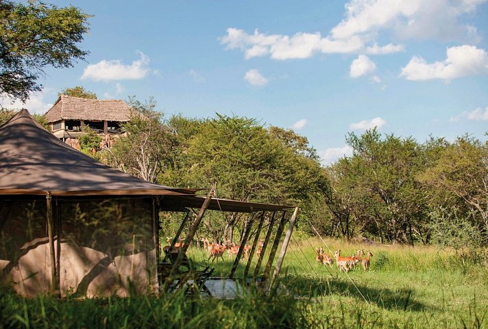Elewana Sky Safari Tansania