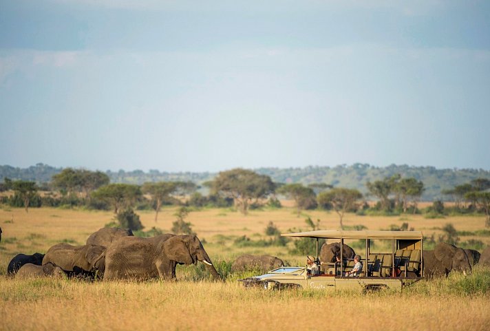 Tansania und Ruanda vom Feinsten