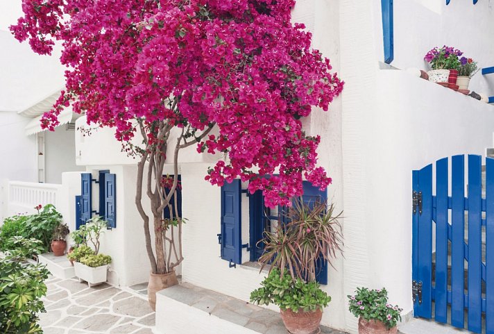 Kykladen-Inselhüpfen: Santorin, Mykonos, Paros, Naxos (15 Tage)