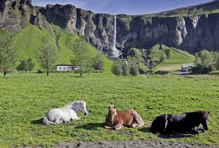 Island - Land und Leute