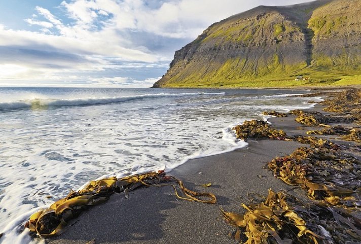 Island intensiv
