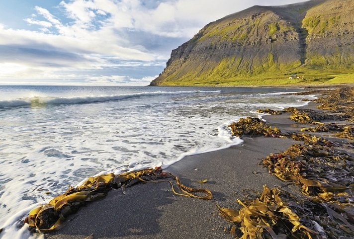 Rund um Island - Von Küste zu Küste