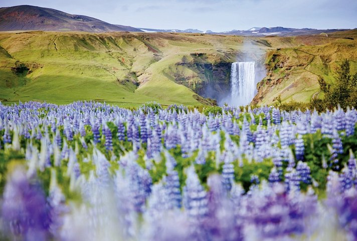 Island - Küsten und Fjorde mit Hotelkomfort erwandern