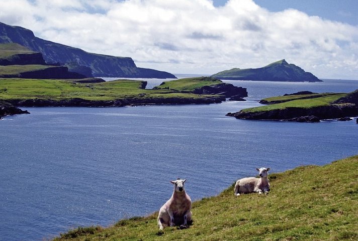 Höhepunkte rund um Killarney