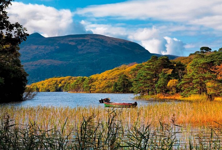 Höhepunkte rund um Killarney