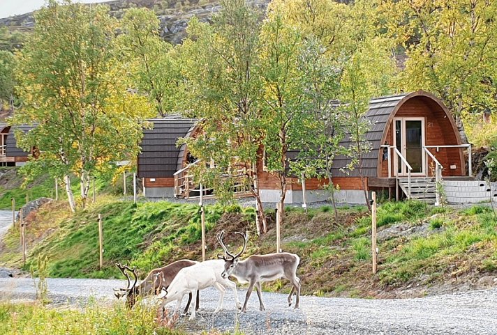 Reisevariante Erlebnis Mitternachtssonne