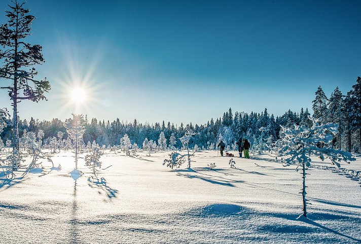 Winterlich aktiv in Schwedisch Lappland