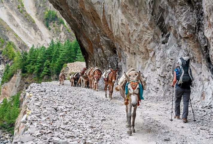 Annapurna Trek zum Poon Hill