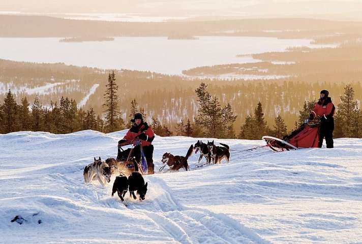 Harriniva - Das Beste von Lappland