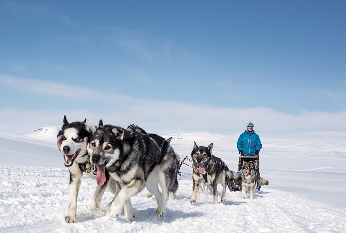 Harriniva - Das Beste von Lappland
