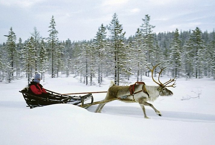 Harriniva - Das Beste von Lappland