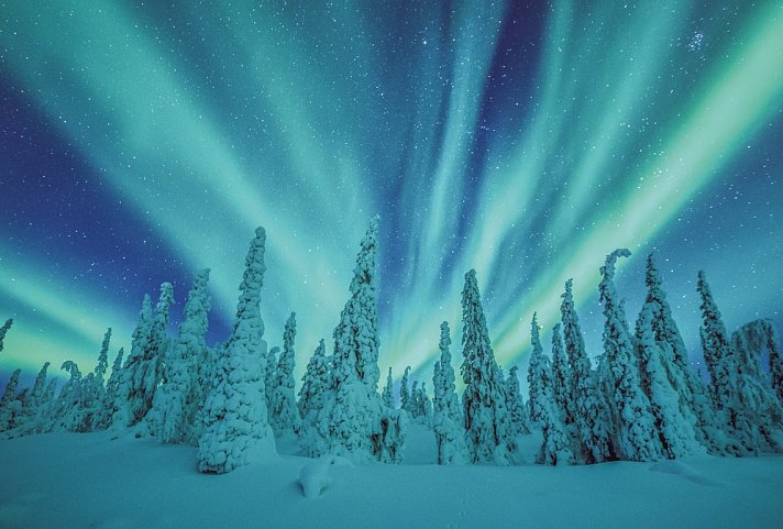Harriniva - Das Beste von Lappland