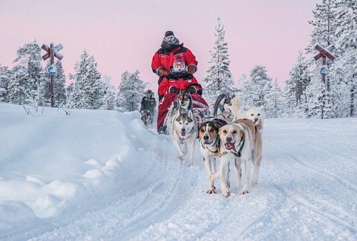 Harriniva - Das Beste von Lappland