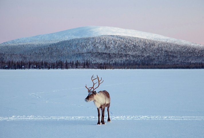 Spirit of Lapland