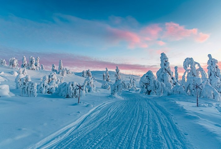 Höhepunkte rund um Ylläs