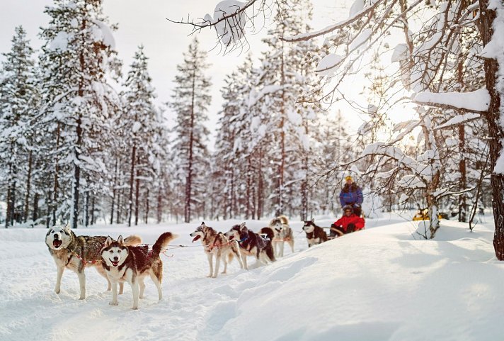 Finnisches Winterwunderland