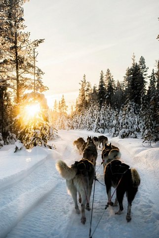 Finnisches Winterwunderland