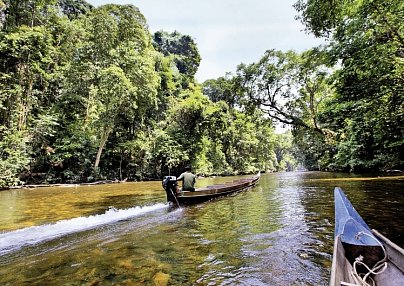 Taman Negara (2 Nächte) Kuala Lumpur