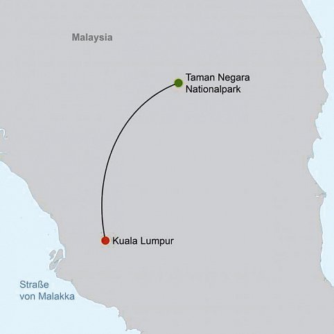 Taman Negara (2 Nächte)