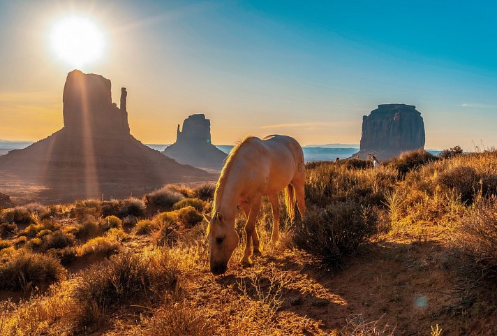 Canyon Explorer (Las Vegas - San Francisco)