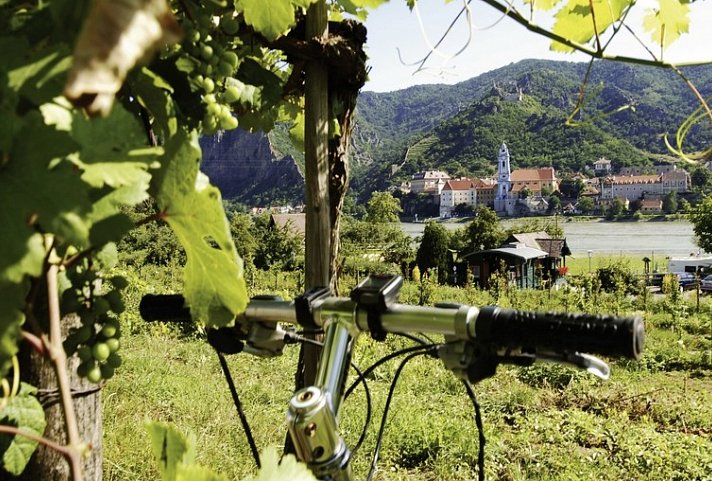 Donau-Radweg gemütlich entdecken