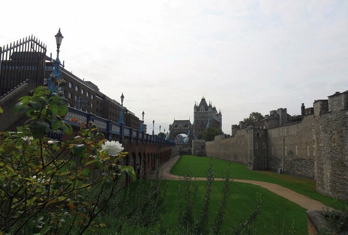 Deutschsprachiger Stadtrundgang Westminster - meinlondon tours