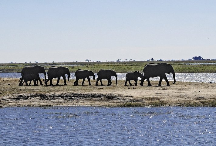 Viktoria Fälle entdecken - Avani Victoria Falls Resort