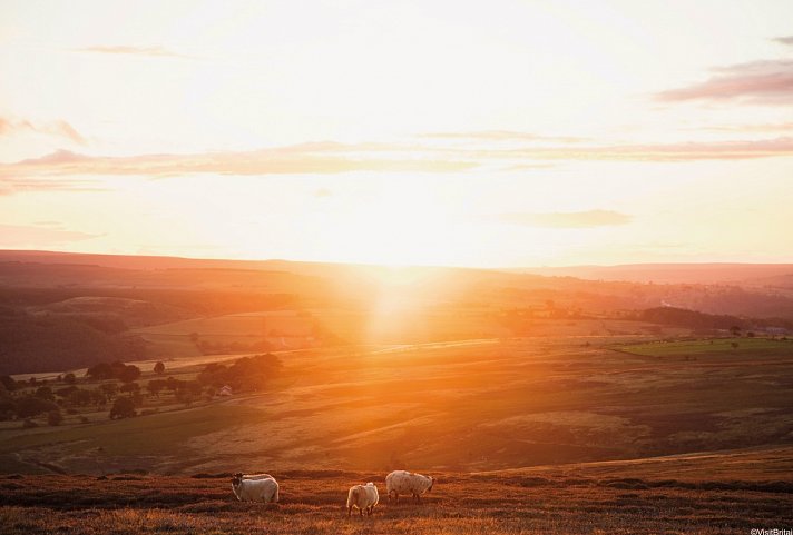 Natur pur in Nordenglands Nationalparks