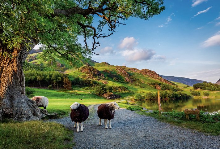 Natur pur in Nordenglands Nationalparks