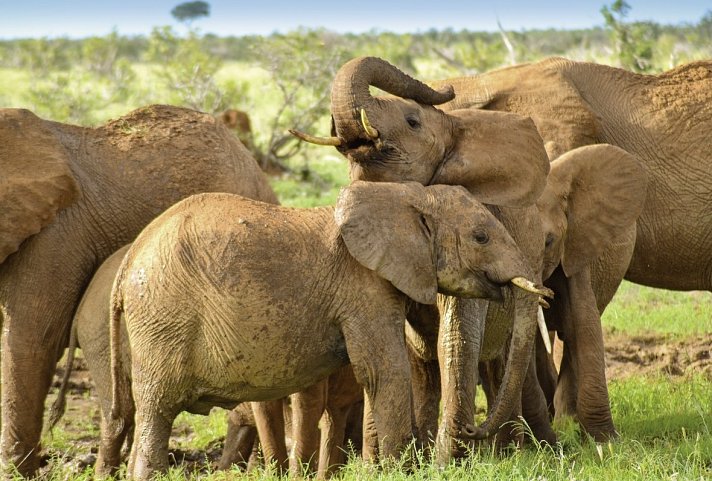 Abenteuer Kenia