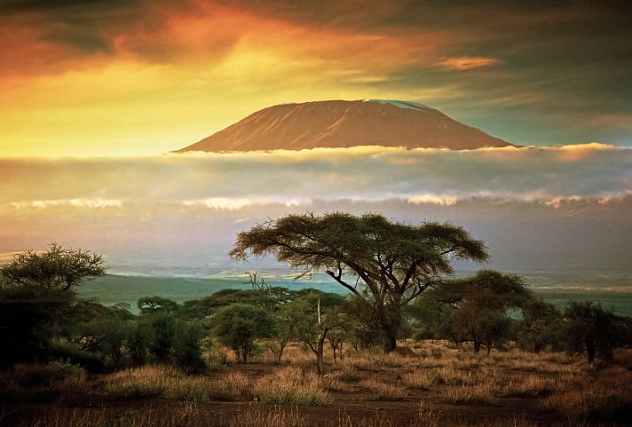 Abenteuer Kenia