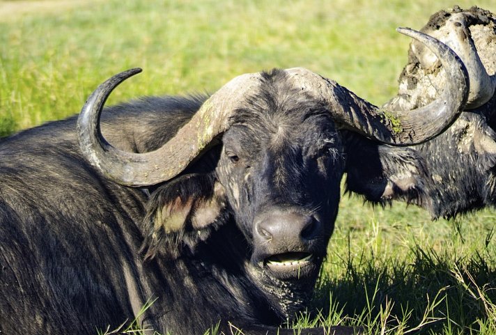 Abenteuer Kenia