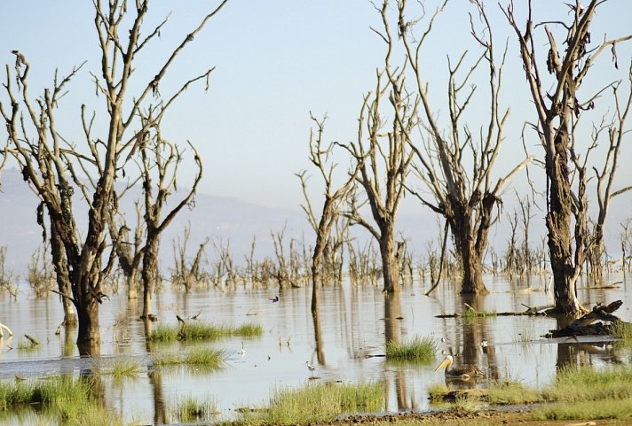 Abenteuer Kenia